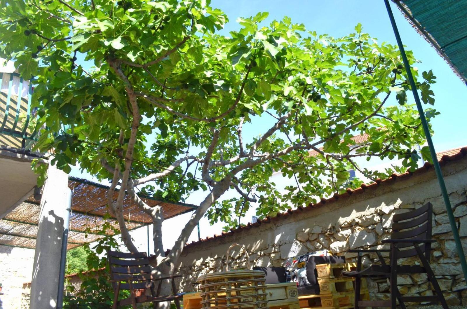 Apartmani Spanja Vodice Exterior photo